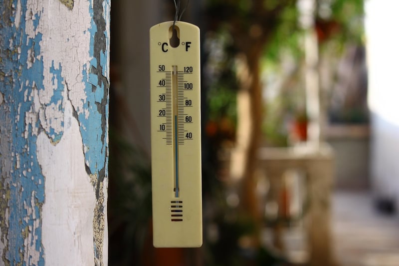 Smart Thermapen